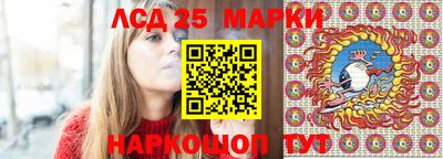 ешки Сланцы