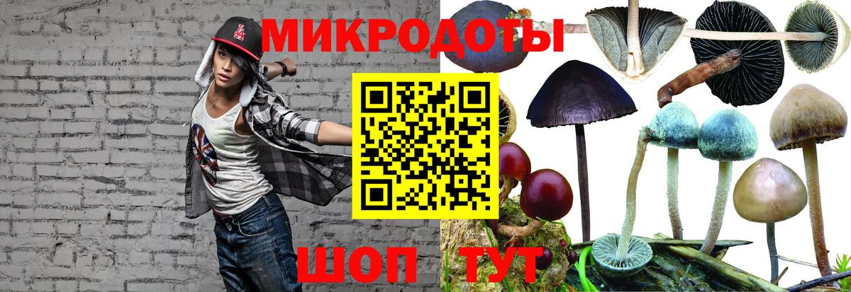 Галлюциногенные грибы мицелий Новосибирск
